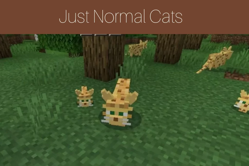 Just Normal Cats Texture Pack