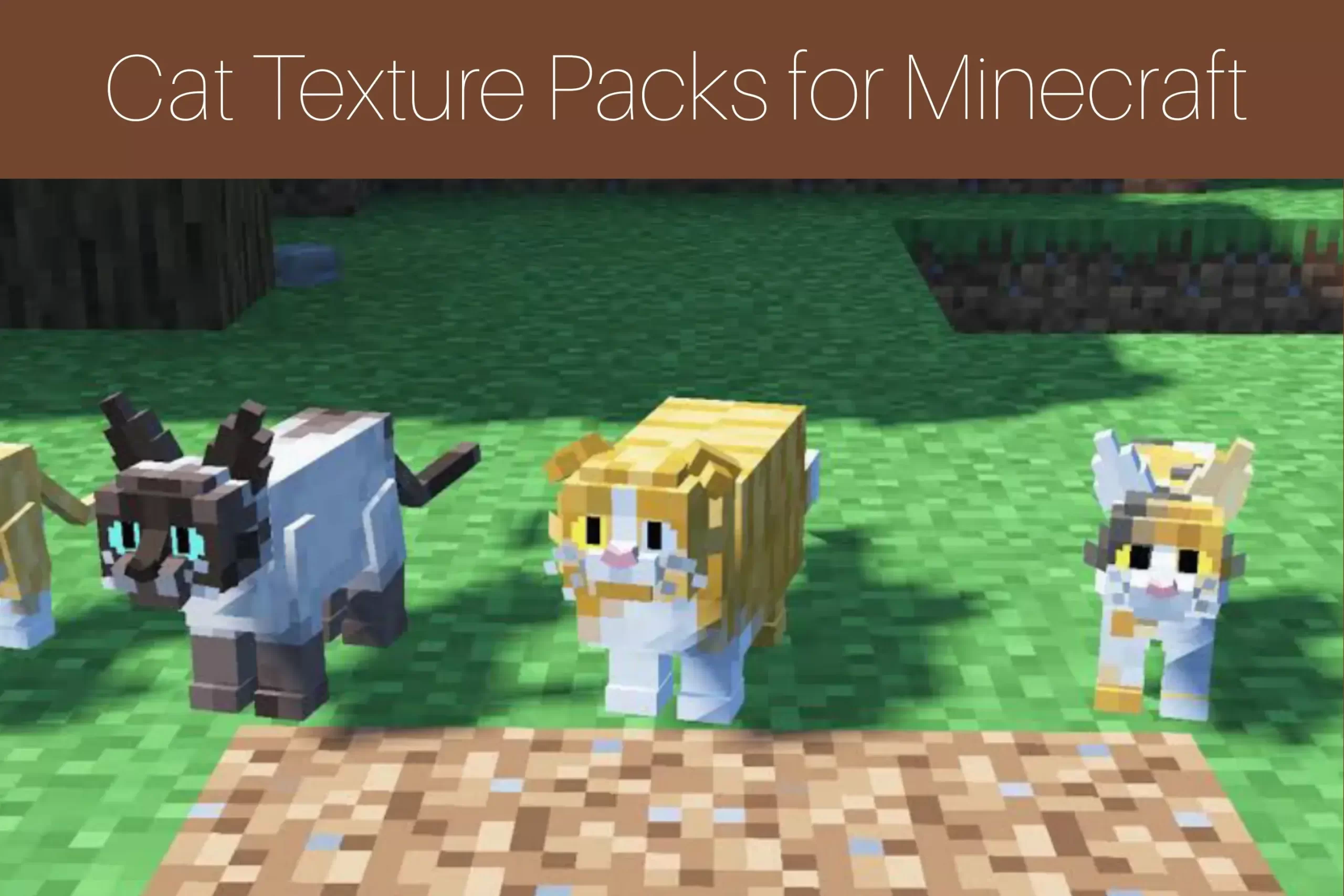 Cat Texture Packs For Minecraft