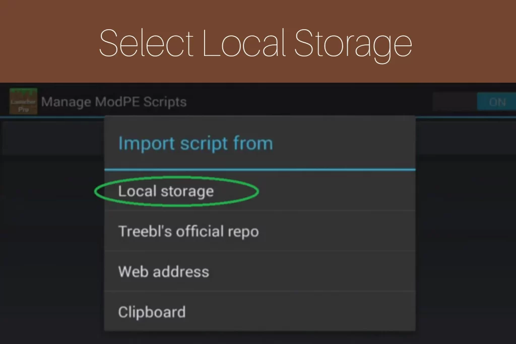 Step 6: Select Local Storage